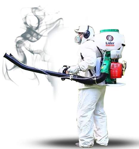 Sanitização